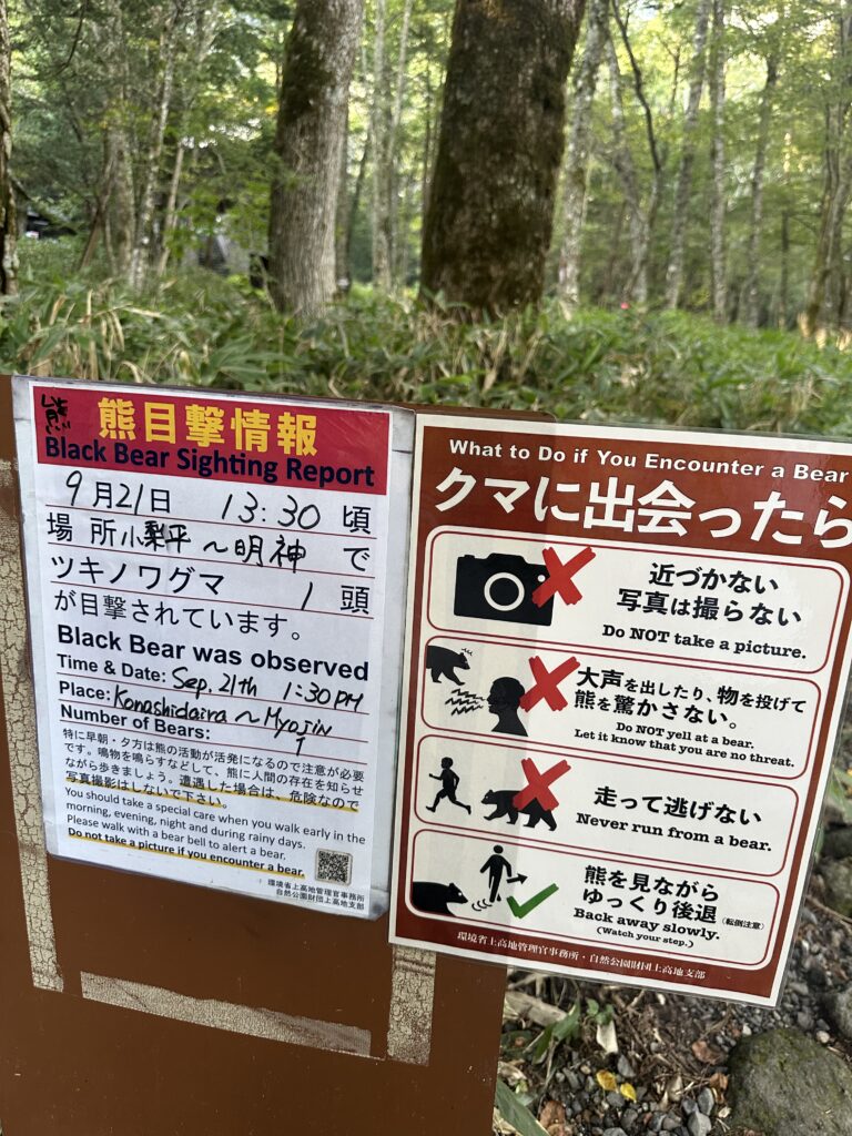 上高地の明神池方面に掲示されていた
熊の目撃情報
